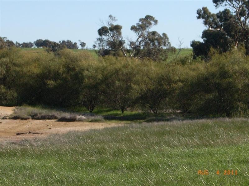 L5821 THOMPSON Road, Pingelly WA 6308