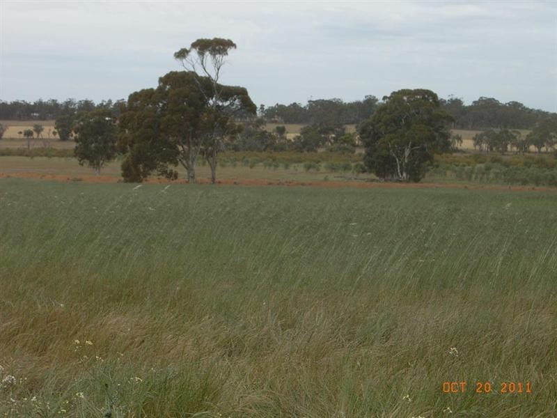 L5821 THOMPSON Road, Pingelly WA 6308