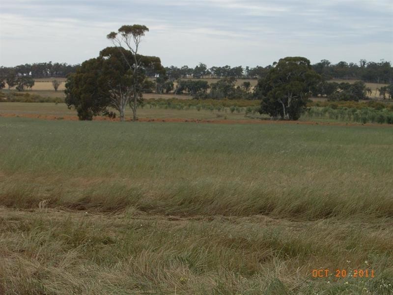 L5821 THOMPSON Road, Pingelly WA 6308