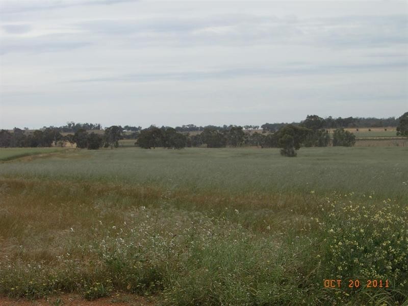 L5821 THOMPSON Road, Pingelly WA 6308
