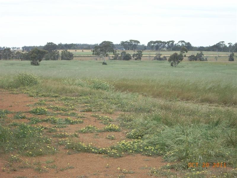 L5821 THOMPSON Road, Pingelly WA 6308