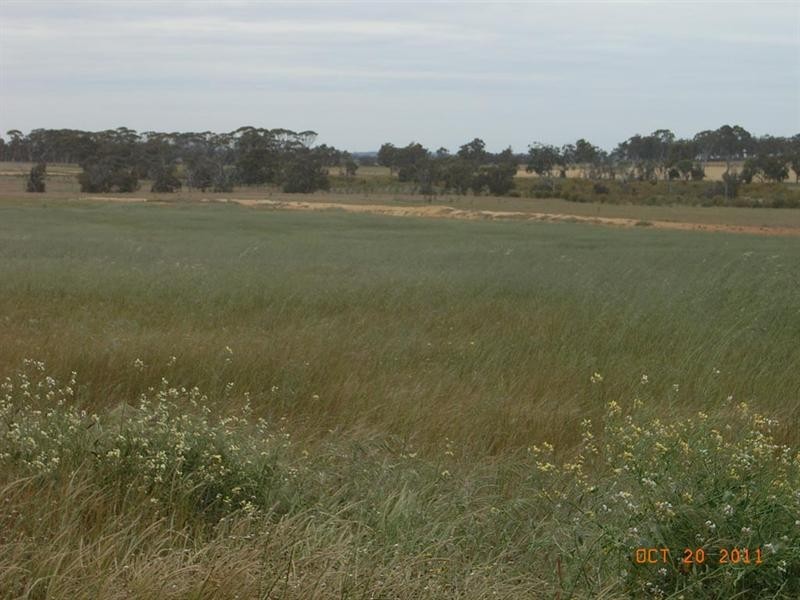 L5821 THOMPSON Road, Pingelly WA 6308
