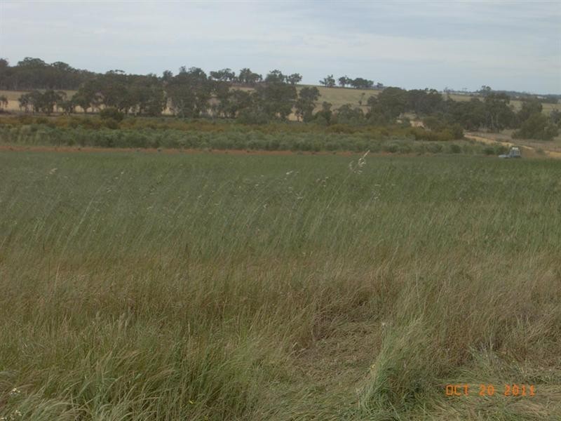 L5821 THOMPSON Road, Pingelly WA 6308