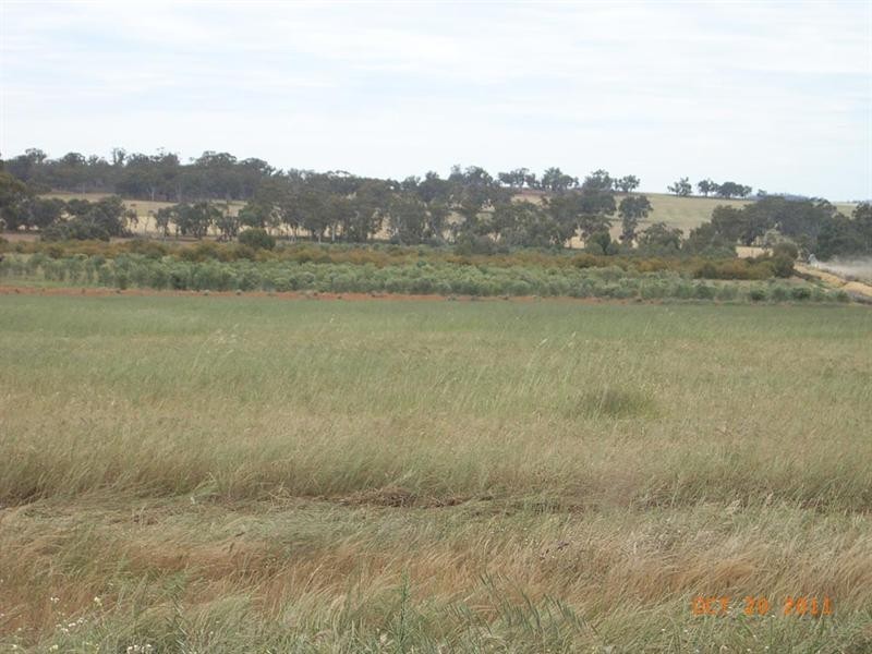 L5821 THOMPSON Road, Pingelly WA 6308