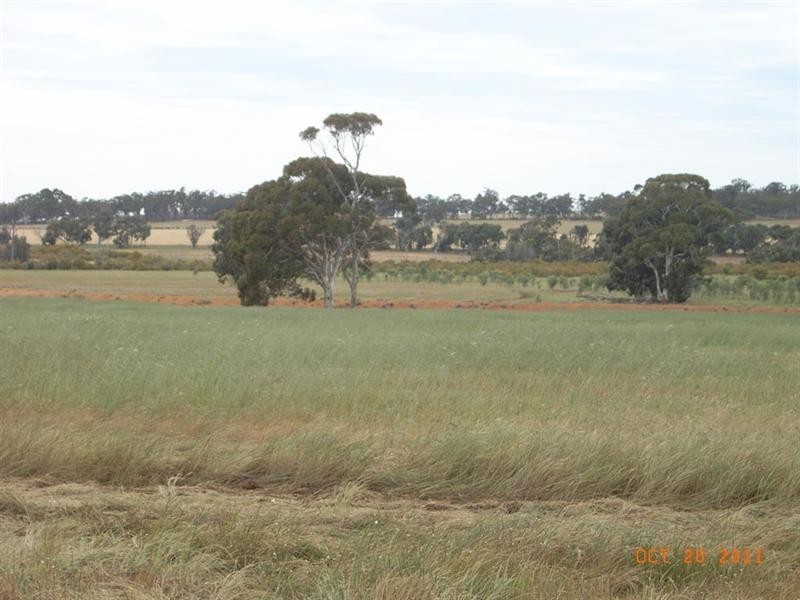 L5821 THOMPSON Road, Pingelly WA 6308