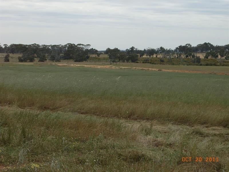 L5821 THOMPSON Road, Pingelly WA 6308
