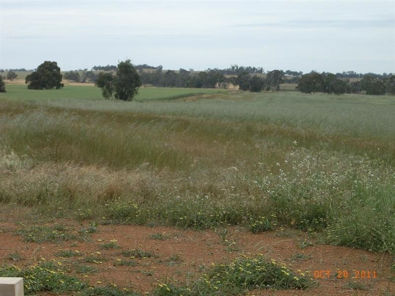 L5821 THOMPSON Road, Pingelly WA 6308