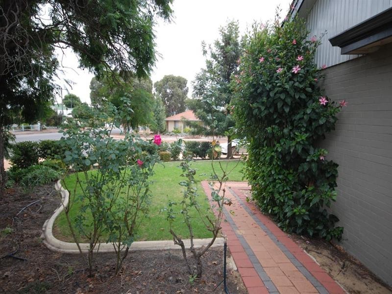 33 Daglish Street, Narrogin WA 6312