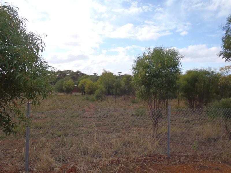 27 Fox Street, Narrogin WA 6312