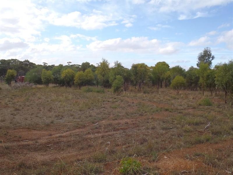 27 Fox Street, Narrogin WA 6312