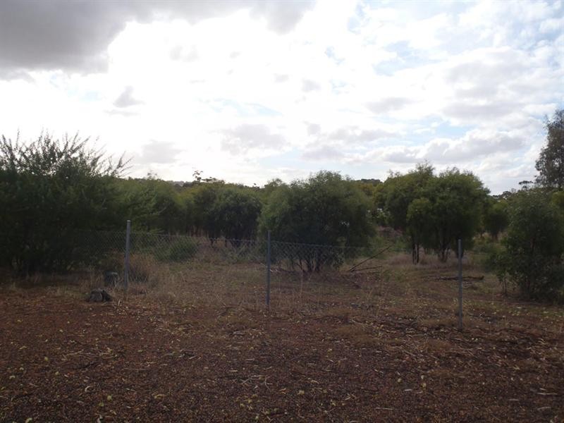 27 Fox Street, Narrogin WA 6312