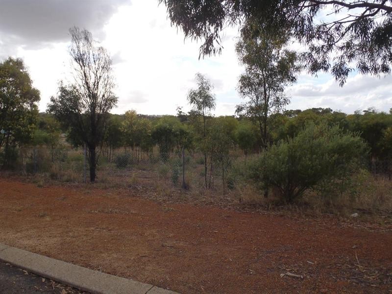 27 Fox Street, Narrogin WA 6312