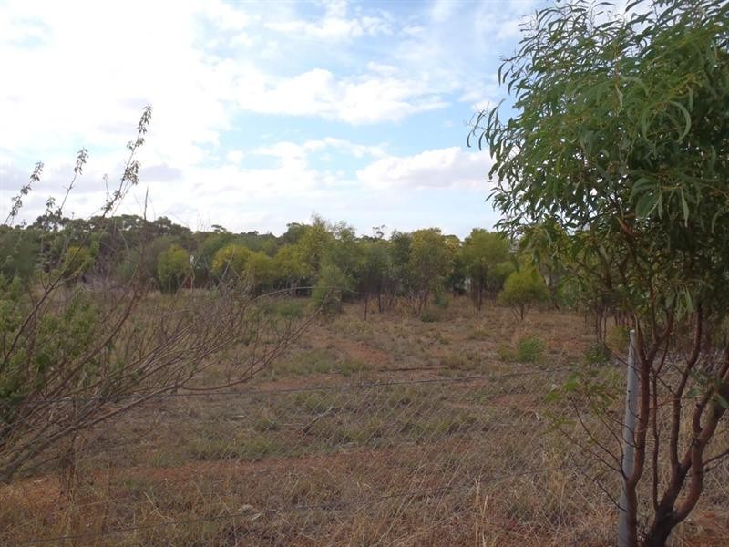 27 Fox Street, Narrogin WA 6312