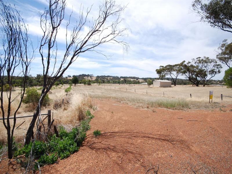 183 Narrogin Road, Williams WA 6391