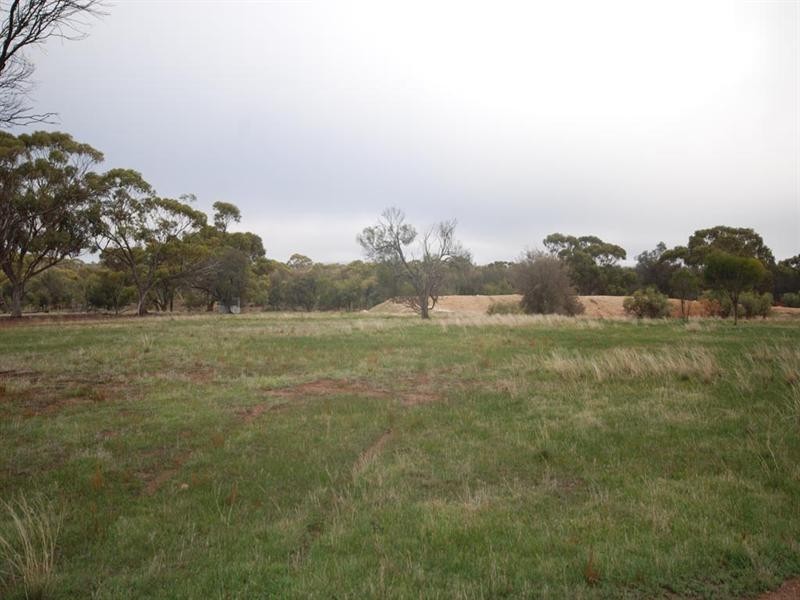 LOT 100 Wiese Road, Highbury WA 6313