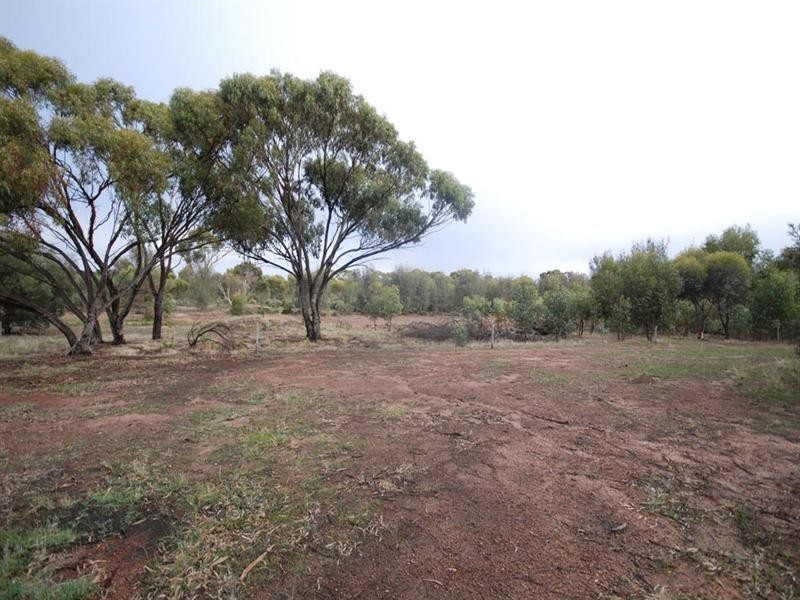 LOT 100 Wiese Road, Highbury WA 6313