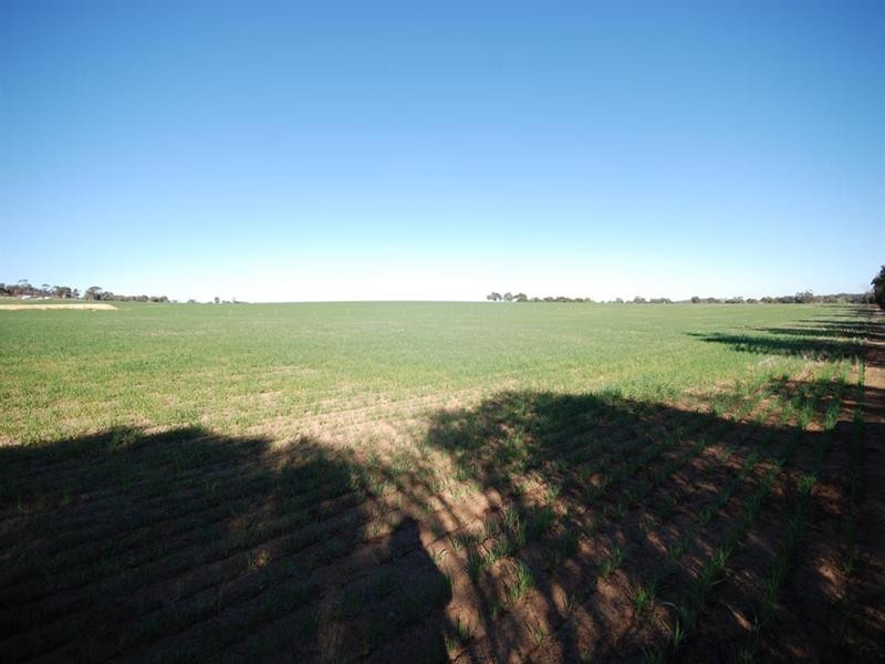L85 Sprigg Road, Narrogin WA 6312