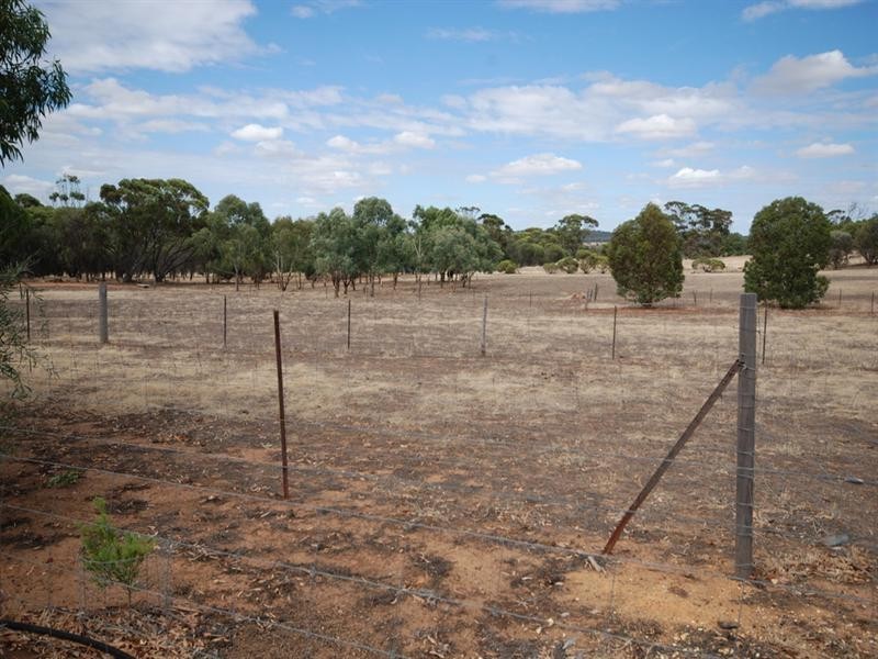 111 Hotham Street, Cuballing WA 6311