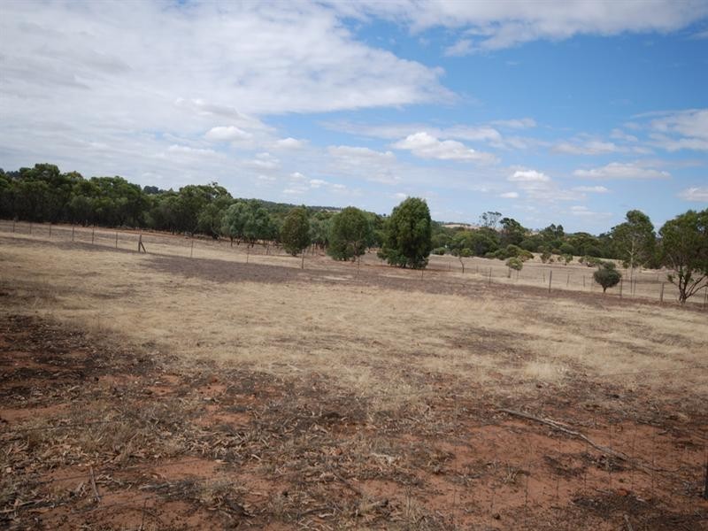 111 Hotham Street, Cuballing WA 6311