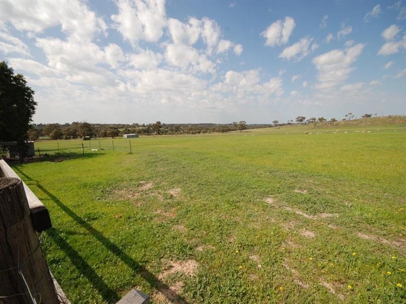 131 Hillside Road, Narrogin WA 6312