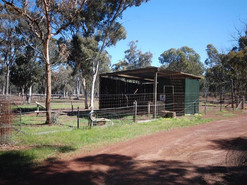 12 Burley Street, Highbury WA 6313