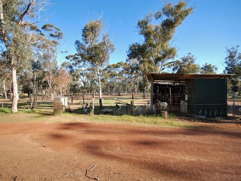 12 Burley Street, Highbury WA 6313