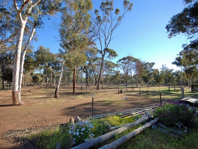 12 Burley Street, Highbury WA 6313