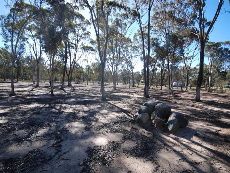 12 Burley Street, Highbury WA 6313