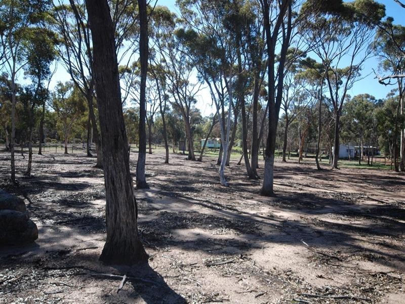 12 Burley Street, Highbury WA 6313