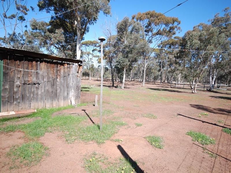 12 Burley Street, Highbury WA 6313