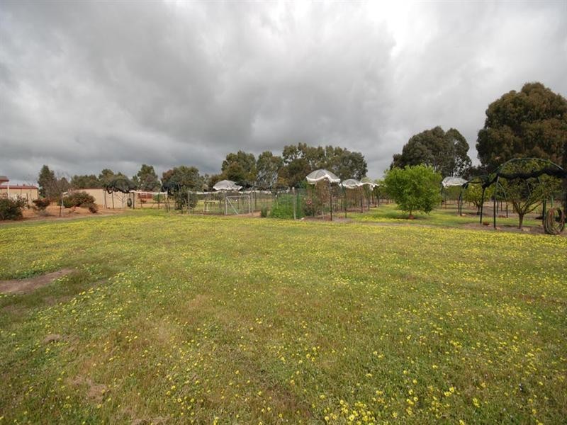 38 Mokine Road, Narrogin WA 6312