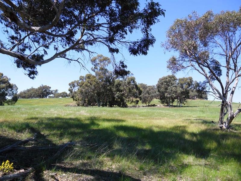 91 O’Connell Road, Wandering WA 6308