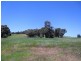 91 O’Connell Road, Wandering WA 6308