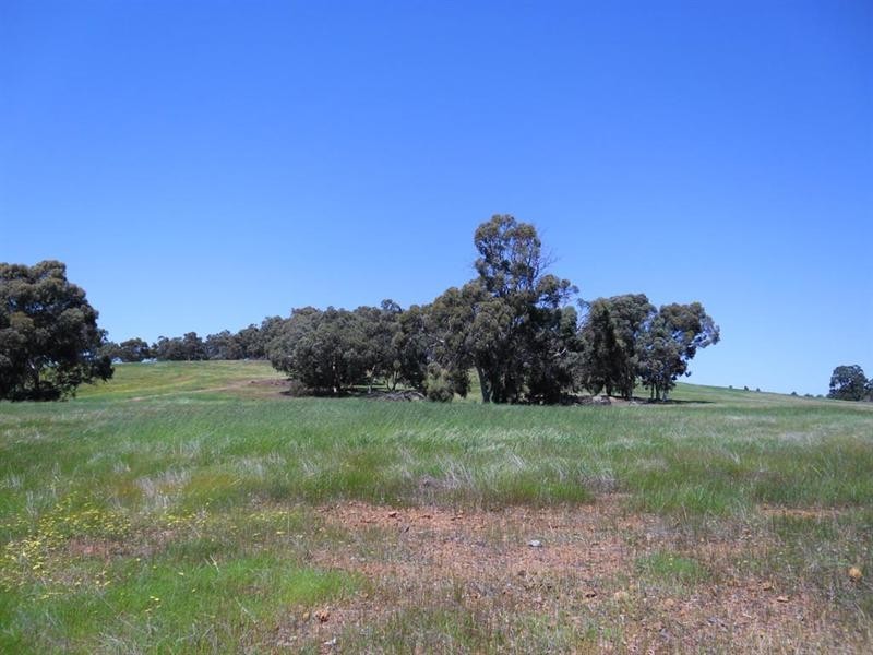 91 O’Connell Road, Wandering WA 6308