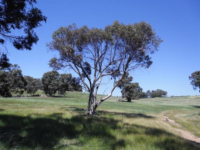 91 O’Connell Road, Wandering WA 6308