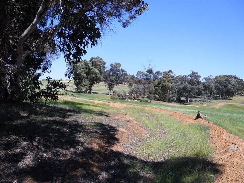 91 O’Connell Road, Wandering WA 6308