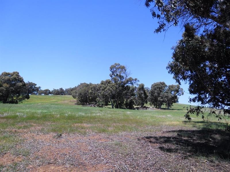 91 O’Connell Road, Wandering WA 6308