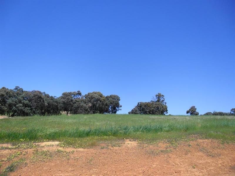 91 O’Connell Road, Wandering WA 6308