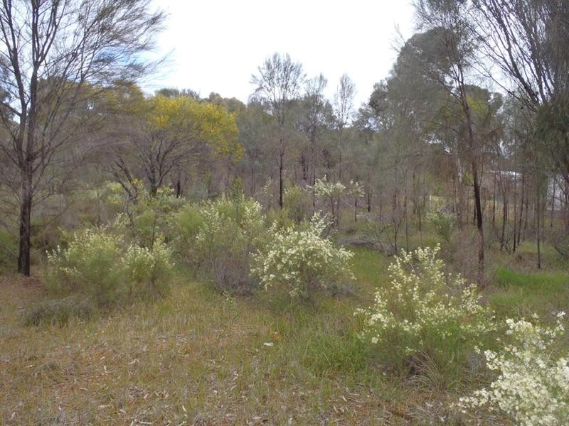 132 and 134 Francis Street, Popanyinning WA 6309