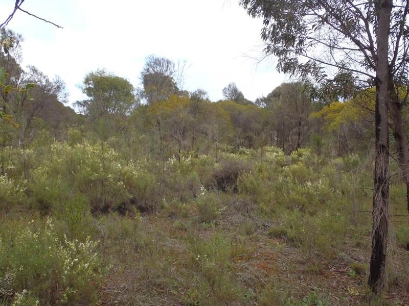 132 and 134 Francis Street, Popanyinning WA 6309