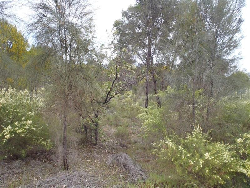 132 and 134 Francis Street, Popanyinning WA 6309