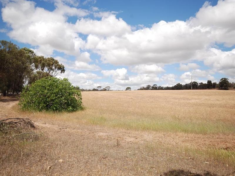L5850 Taylor Road, Narrogin WA 6312