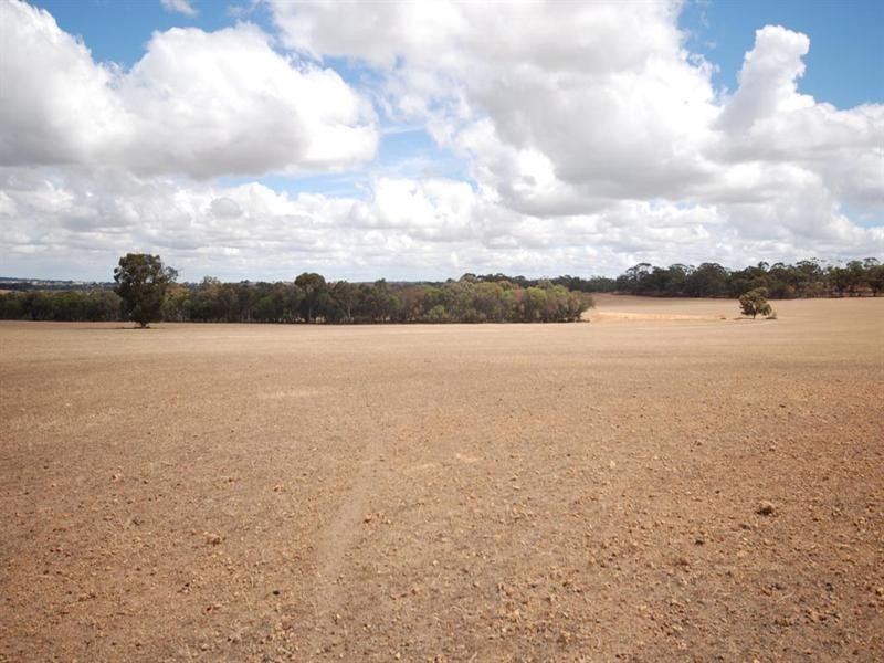 L5850 Taylor Road, Narrogin WA 6312