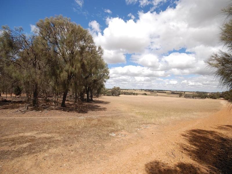 L5850 Taylor Road, Narrogin WA 6312