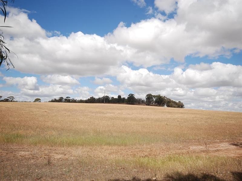 L5850 Taylor Road, Narrogin WA 6312