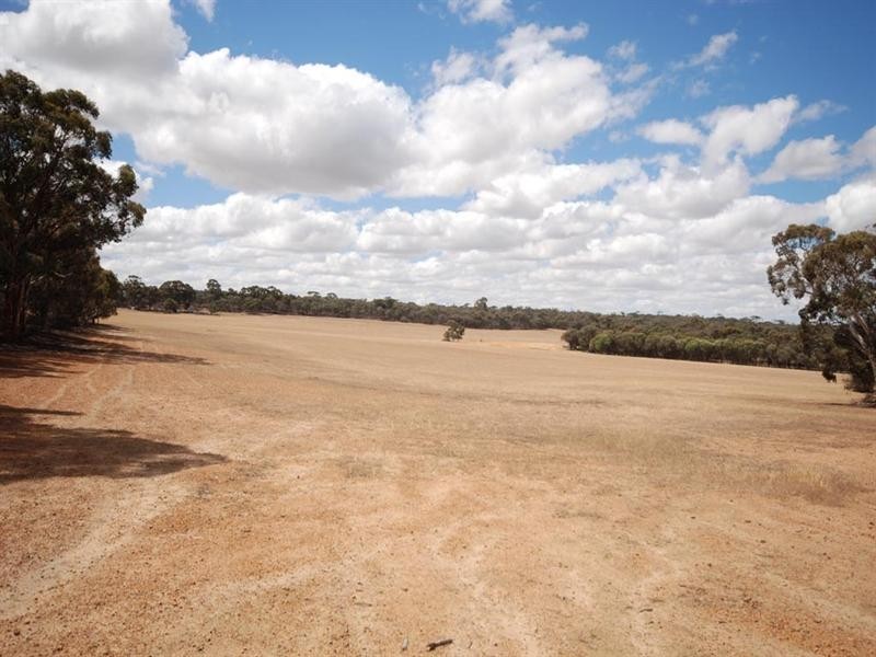 L5850 Taylor Road, Narrogin WA 6312