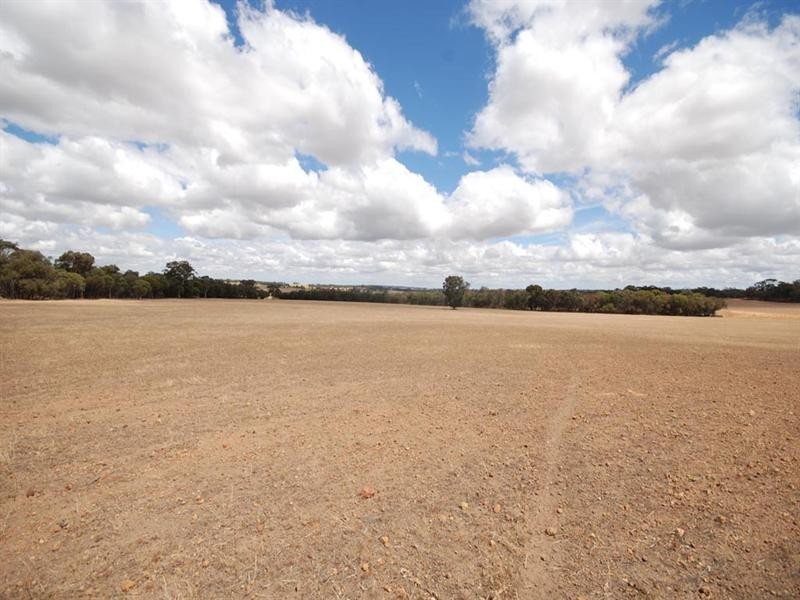 L5850 Taylor Road, Narrogin WA 6312