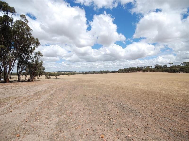 L5850 Taylor Road, Narrogin WA 6312
