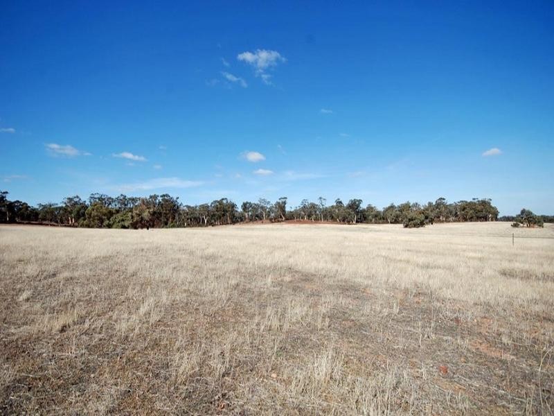 Lot 1 Taylor Road, Narrogin WA 6312