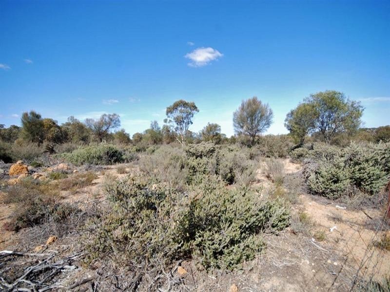 Lot 1 Taylor Road, Narrogin WA 6312